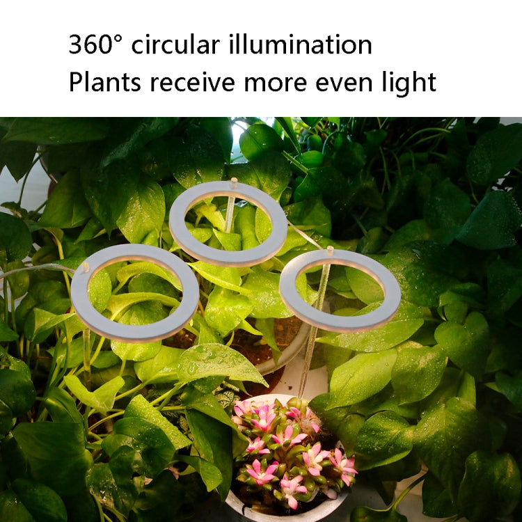 BowLift LED Full-Spectrum Grow Light with Smart Timer — Ring-Style Indoor Plant Lamp, Single-Head (Sunshine)