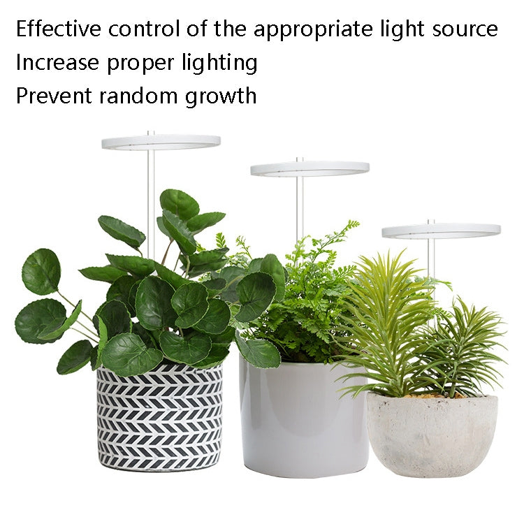 BowLift LED Full-Spectrum Grow Light with Smart Timer — Ring-Style Indoor Plant Lamp, Single-Head (Sunshine)