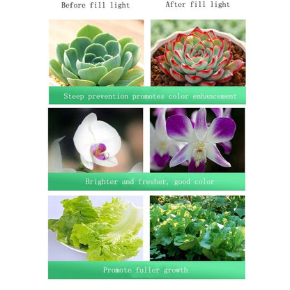 BowLift 35W Cutout 150mm LED Full-Spectrum Plant Growth Light - High-Efficiency Indoor Grow Light