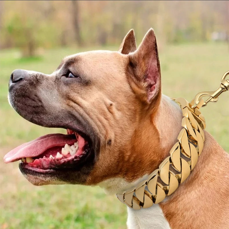 BowLift | KrachtNeck Metal Dog Collar – Sturdy Stainless Steel Collar for Large Dogs