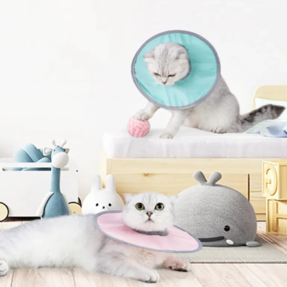 Cat protection collar soft & comfortable Bowlift