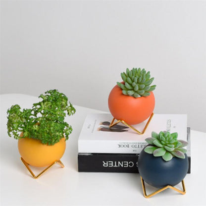 LZINA™ | Abstract Colors Ceramic Flower Pots with Stand