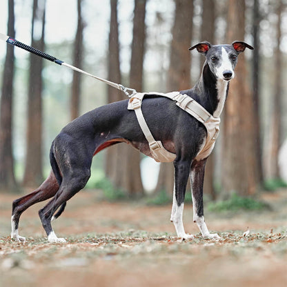 AquaCool - Anti-Pull Dog Harness with Multi-Functional Leash Bowlift