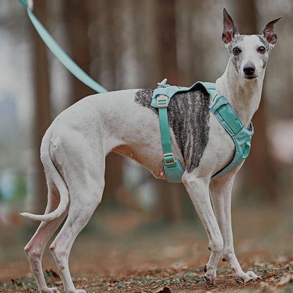 AquaCool - Anti-Pull Dog Harness with Multi-Functional Leash Bowlift
