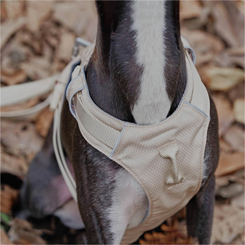 AquaCool - Anti-Pull Dog Harness with Multi-Functional Leash Bowlift
