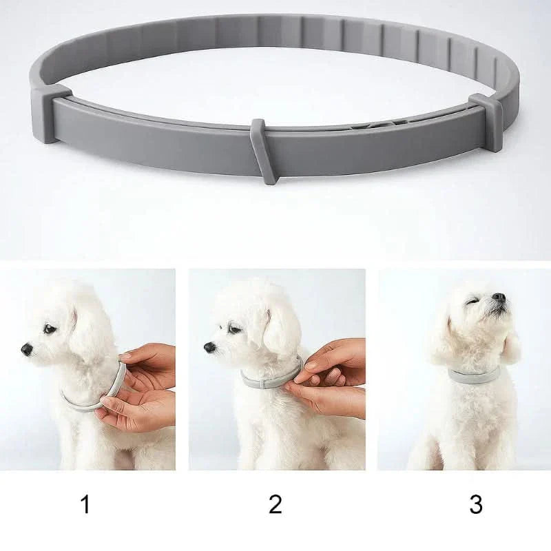 BowLift | FLASHIELD COLLAR – Herbal flea & tick protection collar for dogs & cats