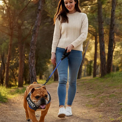 BowLift | Personalisable dog harness for comfort & safety