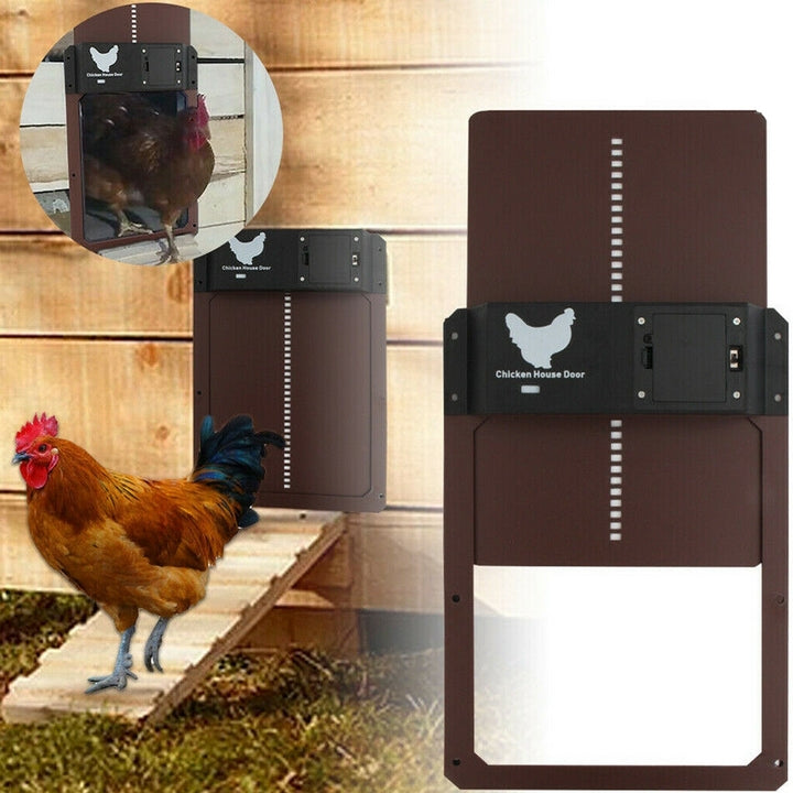 LZINA™ | Poultry PRO+ | Automatic Chicken Door