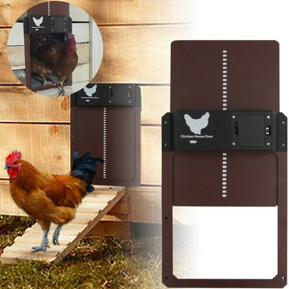 LZINA™ | Poultry PRO+ | Automatic Chicken Door