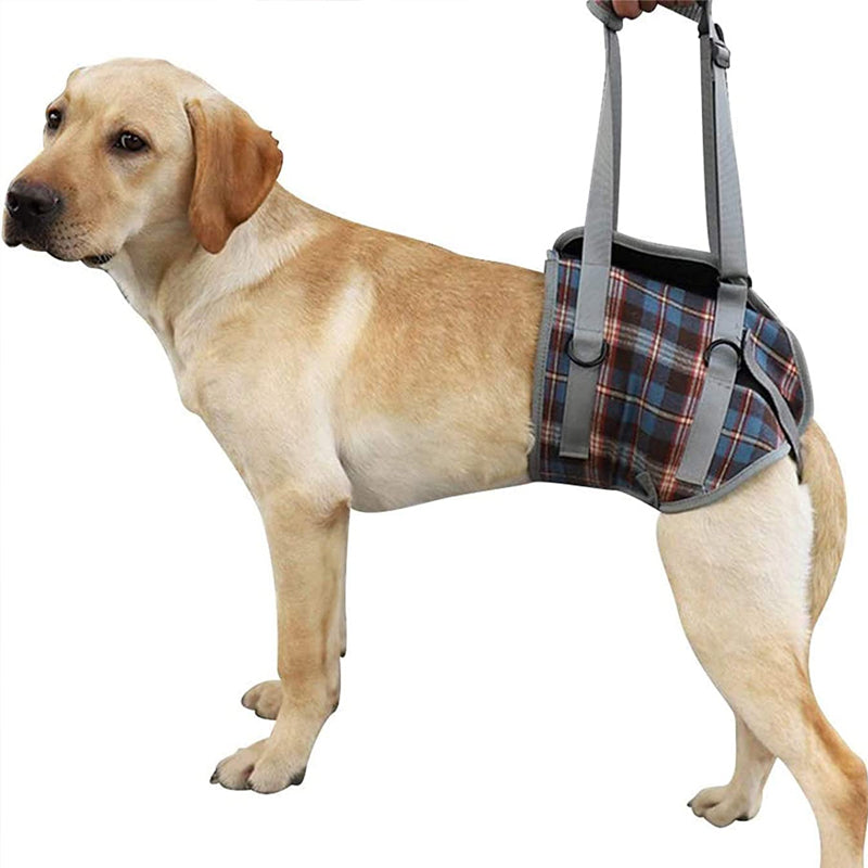 BowLift | Orthopedic Rear Leg Support Harness for Dogs – Ideal for Arthritis, Hip Dysplasia & Mobility Aid