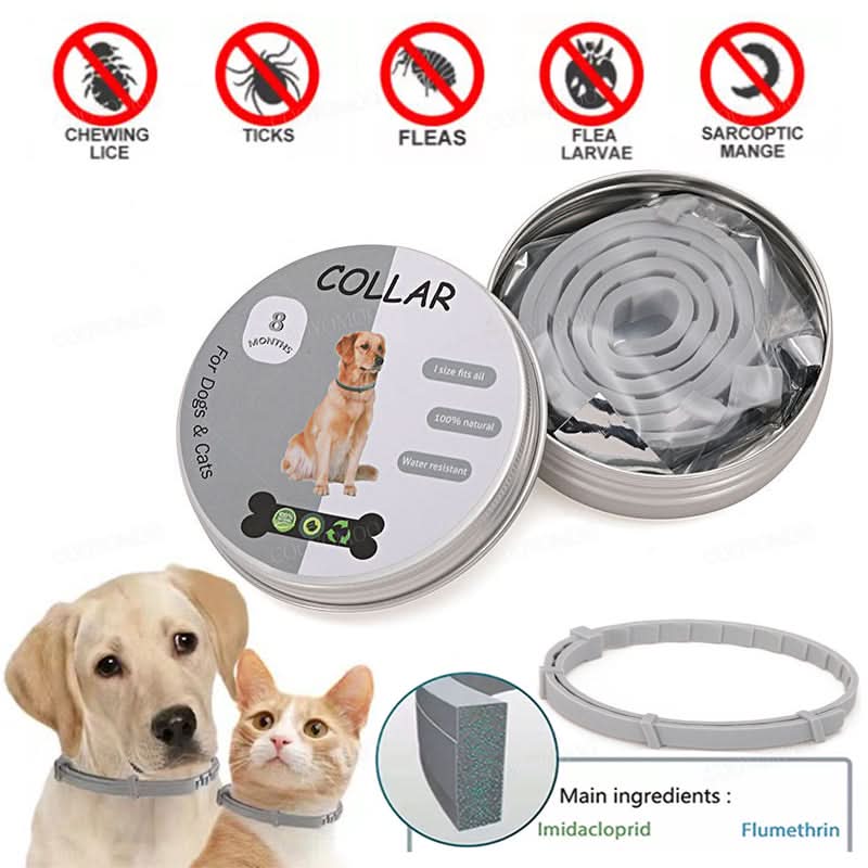 BowLift | PAWTECT - Anti-tick and flea collar