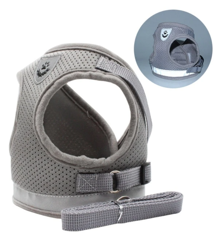 Cat Harness with Leash - AdventureKit Bowlift