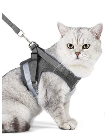 Cat Harness with Leash - AdventureKit Bowlift