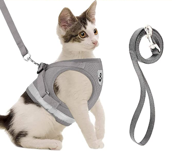 Cat Harness with Leash - AdventureKit Bowlift