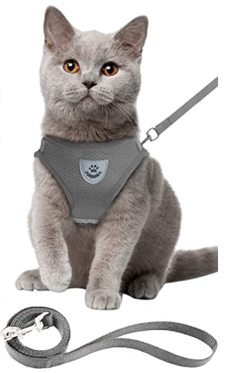 Cat Harness with Leash - AdventureKit Bowlift