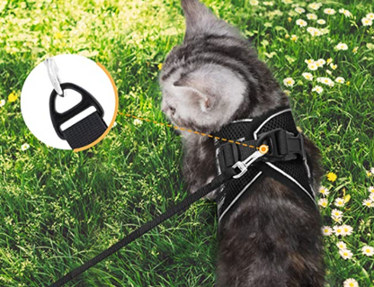 Cat Harness with Leash - AdventureKit Bowlift