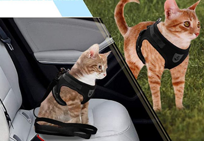 Cat Harness with Leash - AdventureKit Bowlift
