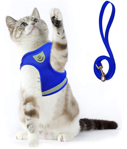 Cat Harness with Leash - AdventureKit Bowlift