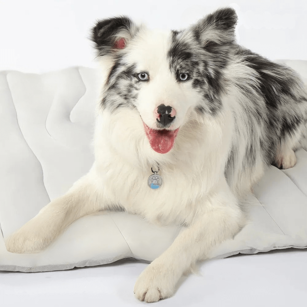 LZINA™ | CoolPaws Cooling Mat – Self-Cooling Dog Mat for Hot Summer Relief