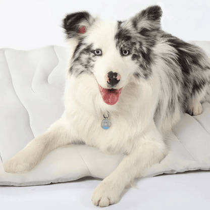 LZINA™ | CoolPaws Cooling Mat – Self-Cooling Dog Mat for Hot Summer Relief
