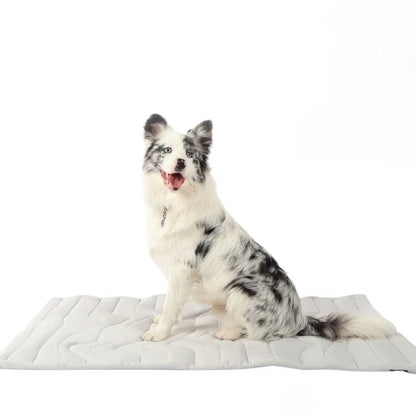 LZINA™ | CoolPaws Cooling Mat – Self-Cooling Dog Mat for Hot Summer Relief