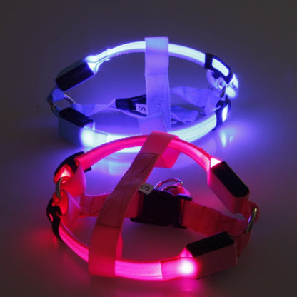 Dog harness with LED - Glow&Go Bowlift