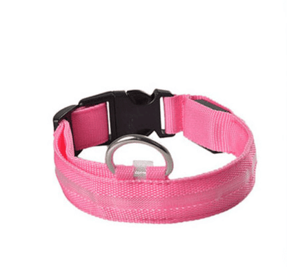 Dog collar with LED light | Bowlift