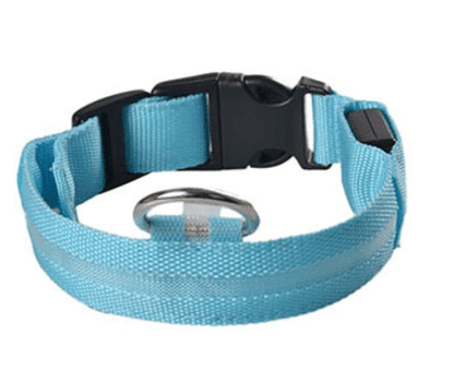 Dog collar with LED light | Bowlift