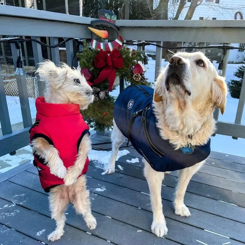 BowLift | Waterproof Dog Jacket for Winter with Reflective Built-In Harness