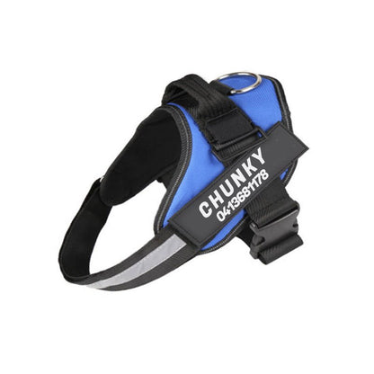 BowLift | Dogsafe Harness – Reflective, No-Pull Dog Harness with Personalizable Name Tag