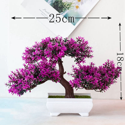 BowLift | Plant Bonsai