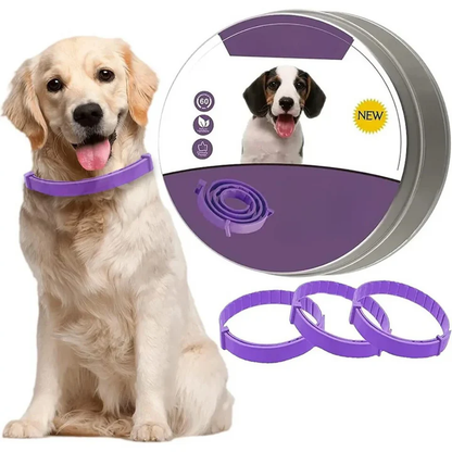BowLift | Pheromone Calming Collar