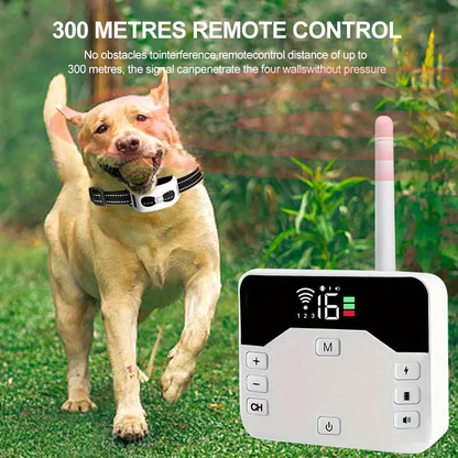 BowLift | 2-in-1 Wireless Dog Fence & Outdoor Training Collar