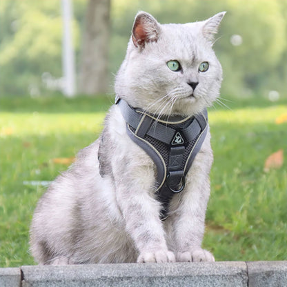 Bowlift Comfort Cat Harness
