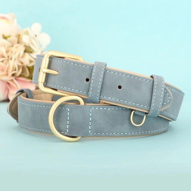 Bowlift Pup Collar