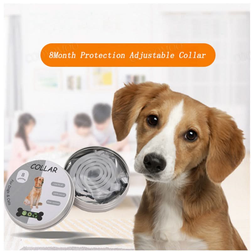 BowLift | PAWTECT - Anti-tick and flea collar
