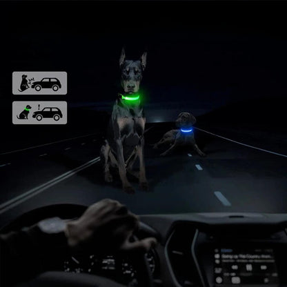 GlowGuard • AirTag Dog Collar