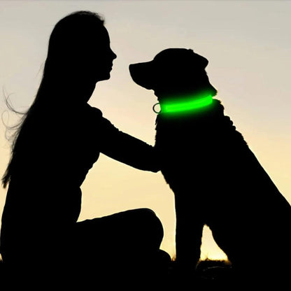 GlowGuard • AirTag Dog Collar