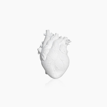 LZINA™ | Heart Dry Plants Artificial Vase