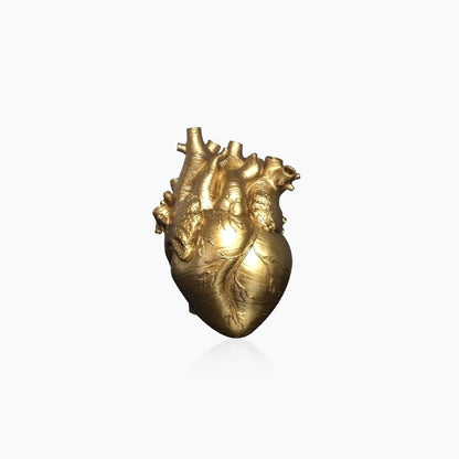 LZINA™ | Heart Dry Plants Artificial Vase