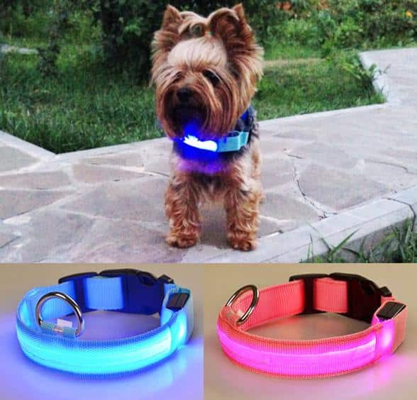 Dog collar with LED light | Bowlift