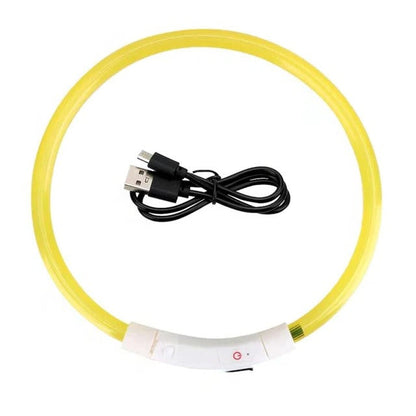 BowLift | Light Up Dog Collar, USB Rechargeable LED Glowing Collar