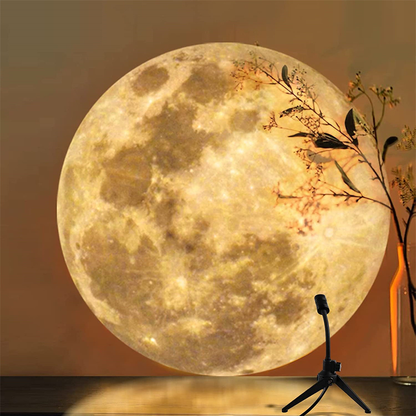 BowLift | Renan - Large, One-of-a-Kind Project Light (Earth and Moon)