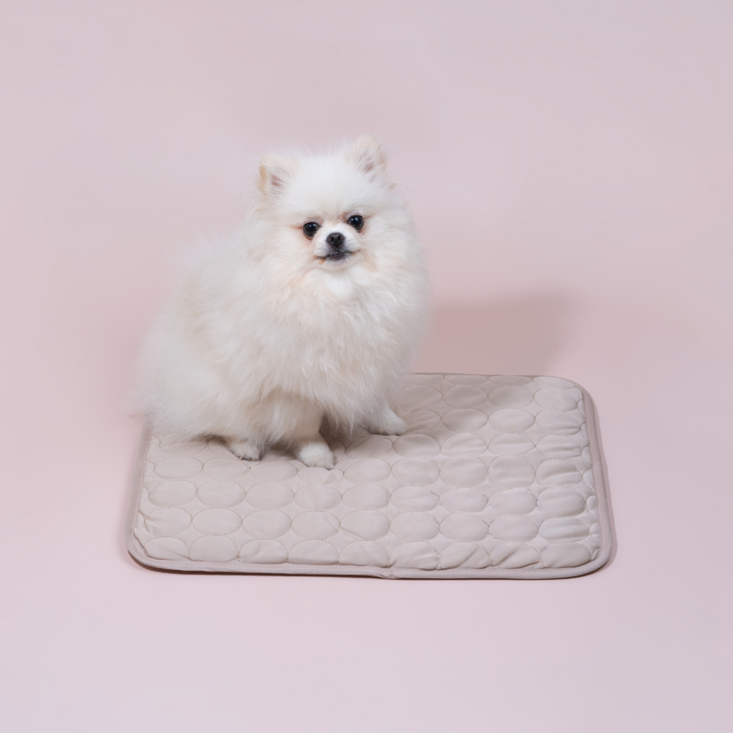 LZINA™ | Innovative Cooling Mat for Dogs (4x Cooling Power) - ChillComfort