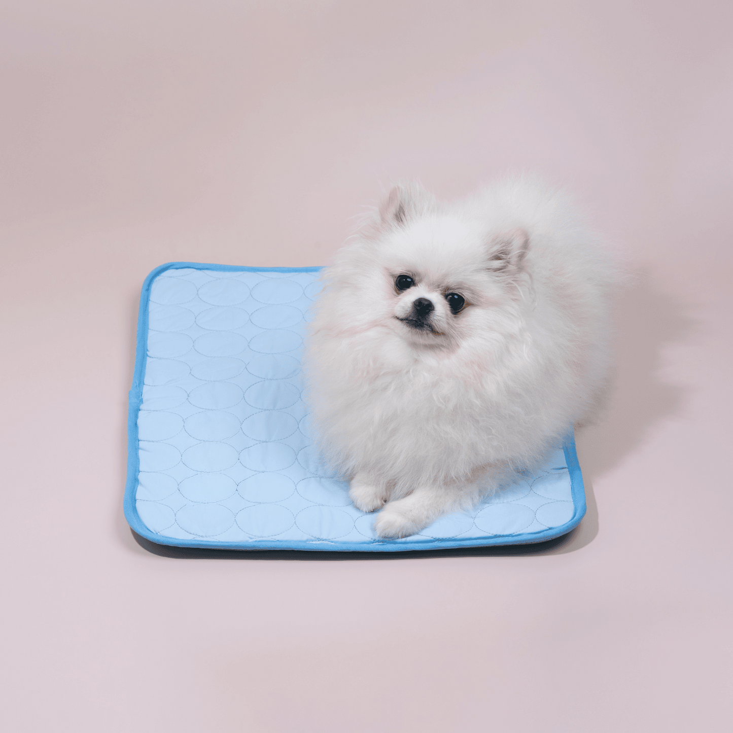 LZINA™ | Innovative Cooling Mat for Dogs (4x Cooling Power) - ChillComfort
