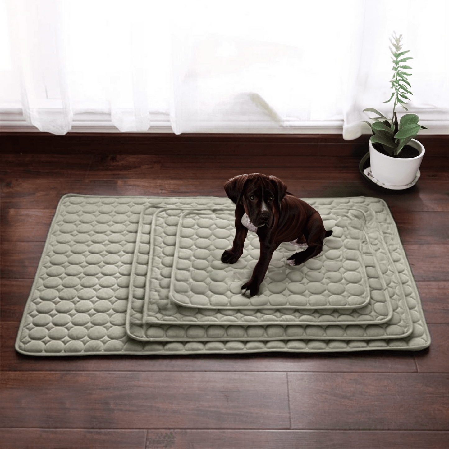 LZINA™ | Innovative Cooling Mat for Dogs (4x Cooling Power) - ChillComfort