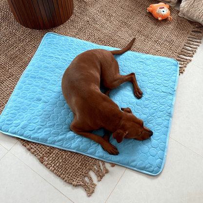LZINA™ | Innovative Cooling Mat for Dogs (4x Cooling Power) - ChillComfort