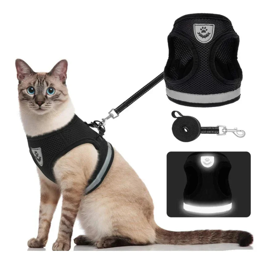Explorer Harness with Leash Bowlift