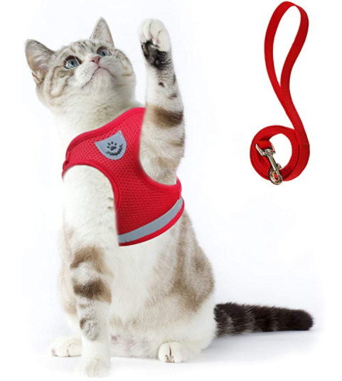 AdventureKit - Safe Harness for Adventurous Cats Bowlift