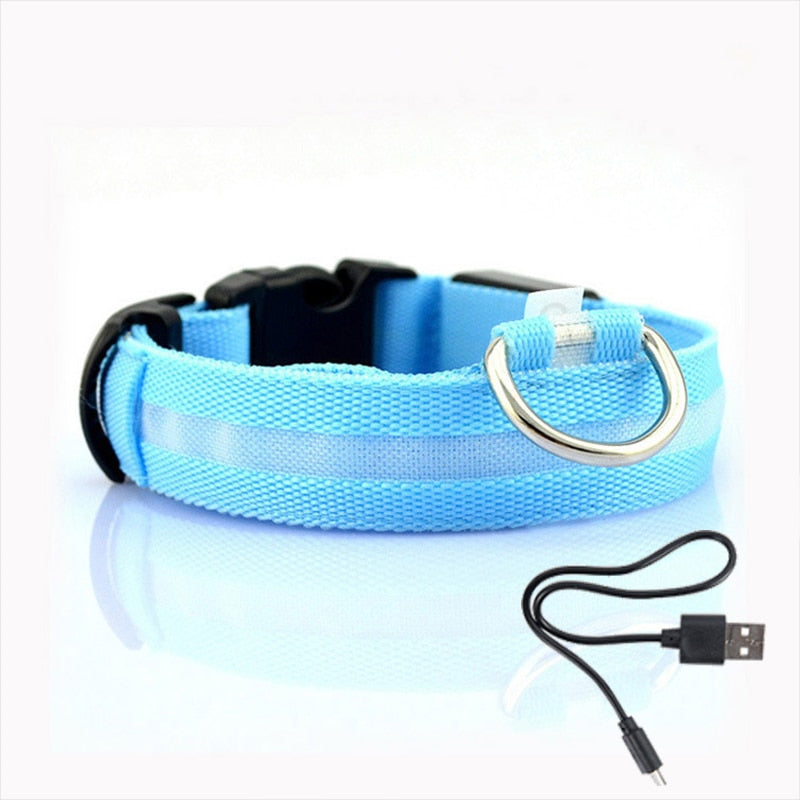LED Dog Collar - GlowCollar Bowlift